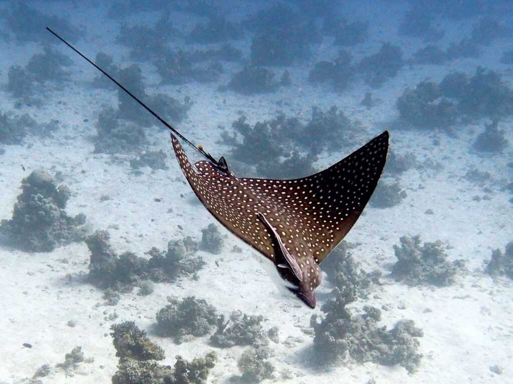 Mehr als nur ein Kurstag