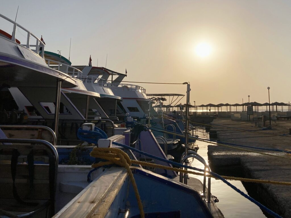 Unser Blick auf die Novemberwoche in Ägypten