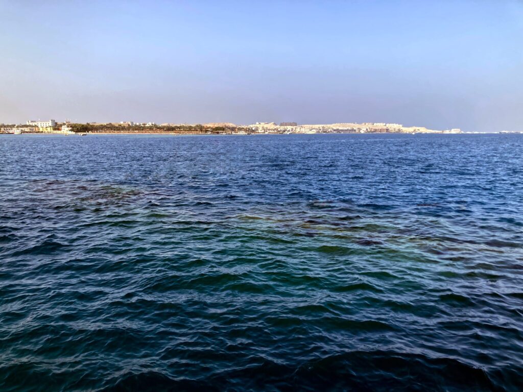 Verschiedene Wracks standen heute auf dem Plan