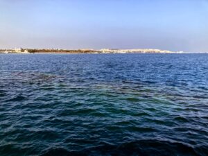 Verschiedene Wracks standen heute auf dem Plan