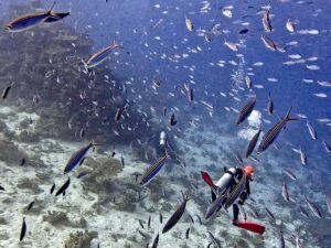 Fast wie Regen, nur viel schöner