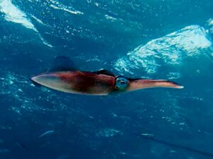 Erkundungstour mit Blick ins Blaue