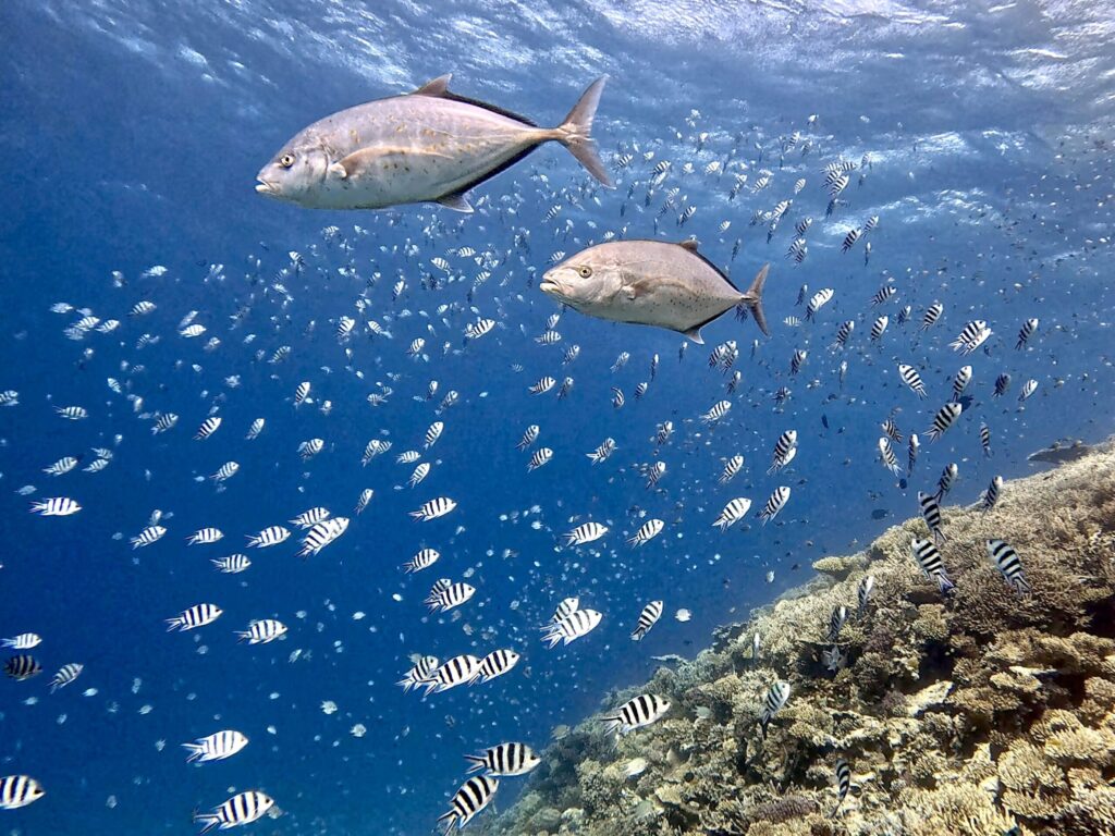 Rundum glücklich nach dem Tauchgang
