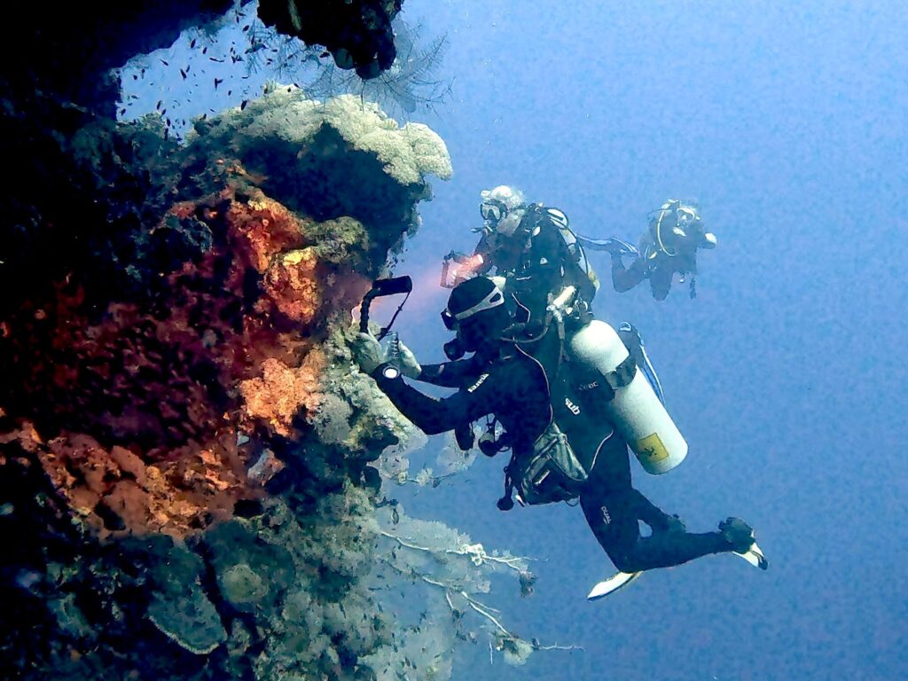 Im Rausch der Strömung