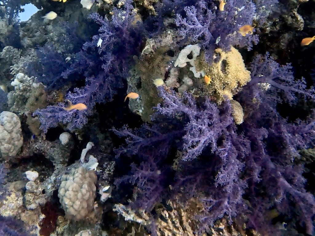 Mit frischem Wind in die neue Woche