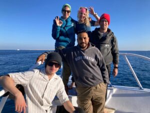 Die Delfine grinsten dem Tauchkurs zu