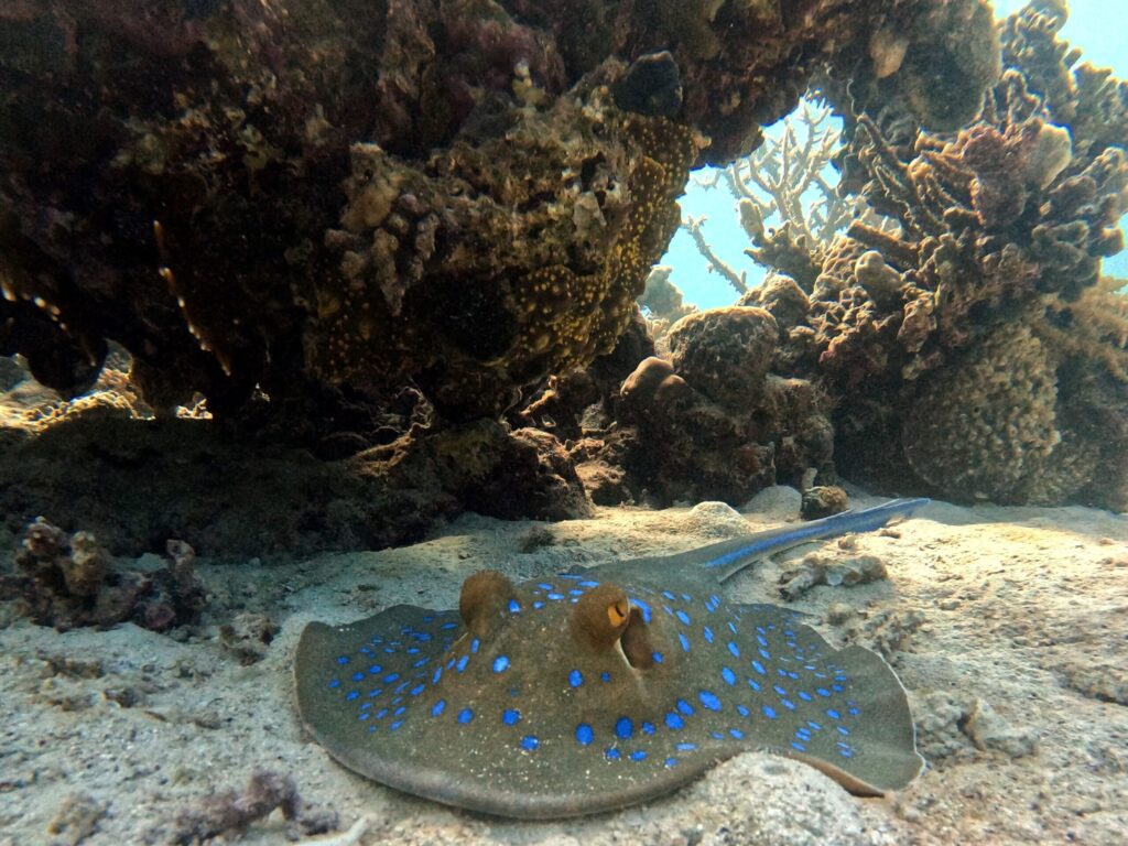 Jeden Tag beginnt ein neues Abenteuer