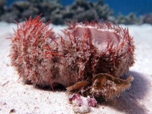 Ein Tag voller Entdeckungen