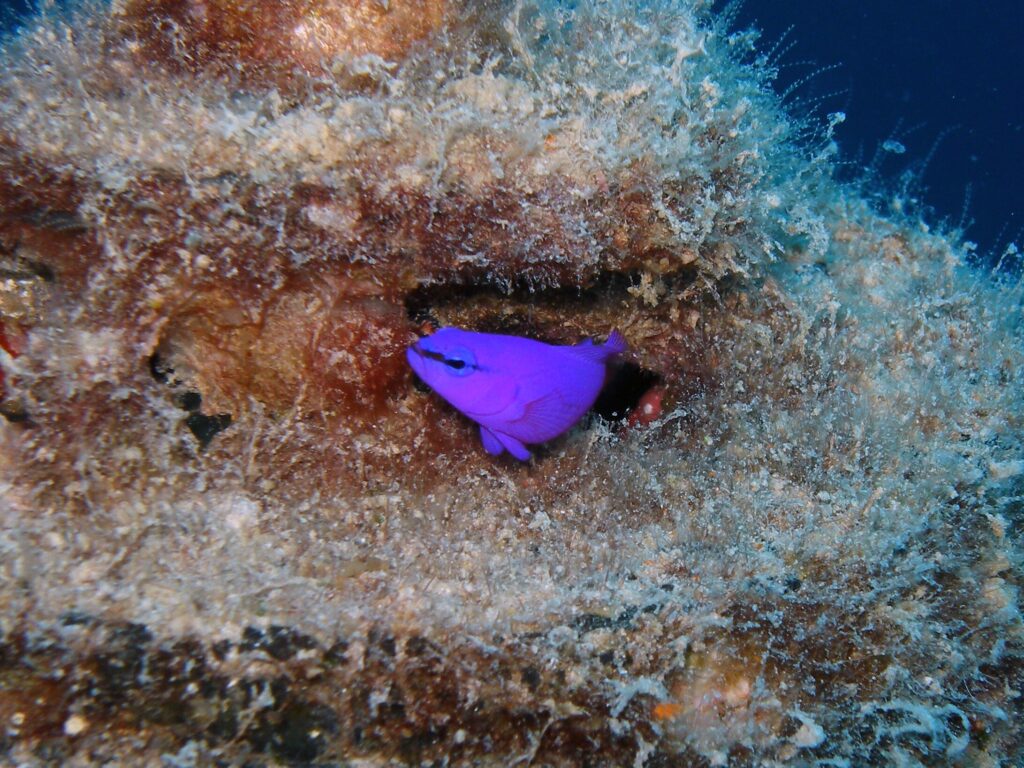 Leinen los und ab ins Abenteuer