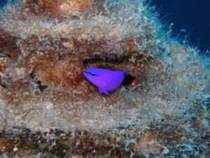 Leinen los und ab ins Abenteuer