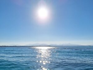 Sonne in der Vorweihnachtszeit – unsere Woche