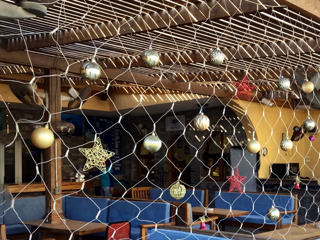 Es weihnachtet auch bei uns am Roten Meer