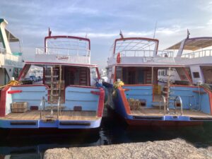 Die letzte Woche im Januar – unser Überblick