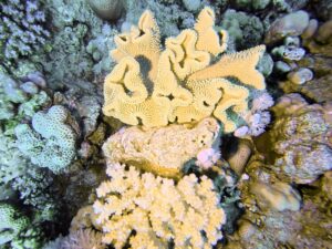 Ohne Umwege ging es zwischen die Inseln