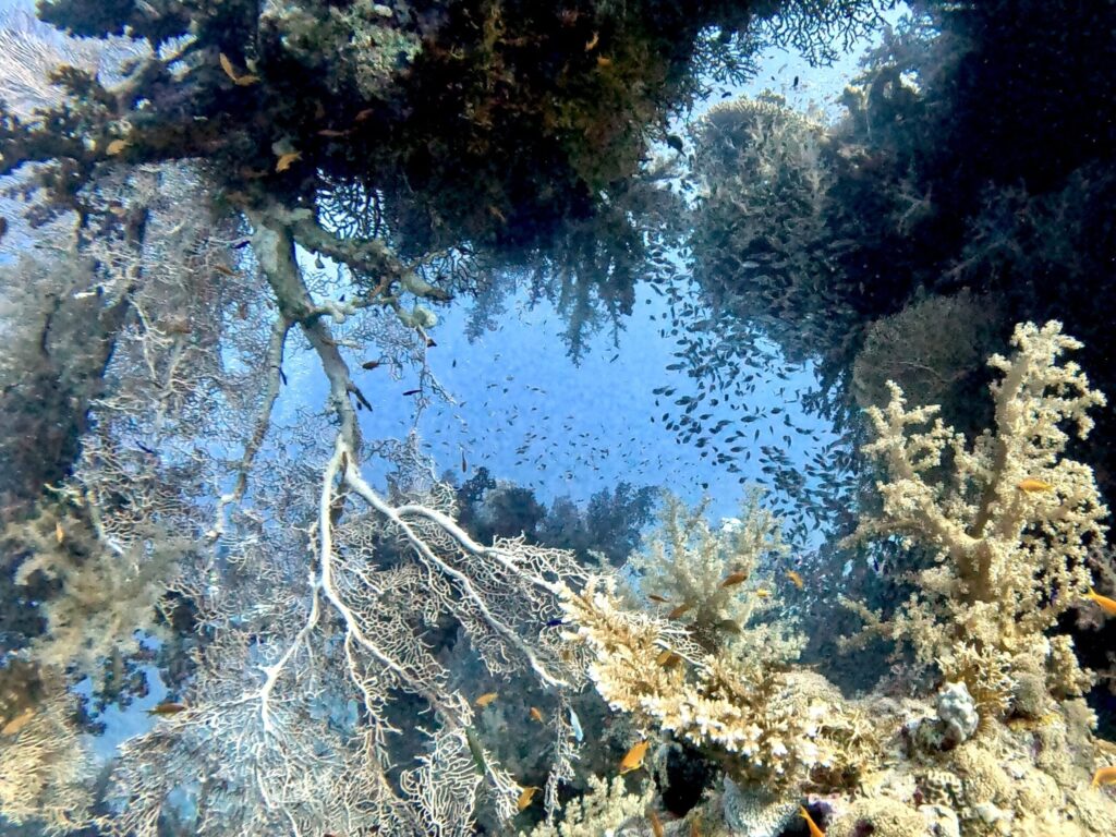 Gut ausgeruht ins Unterwasser-Abenteuer