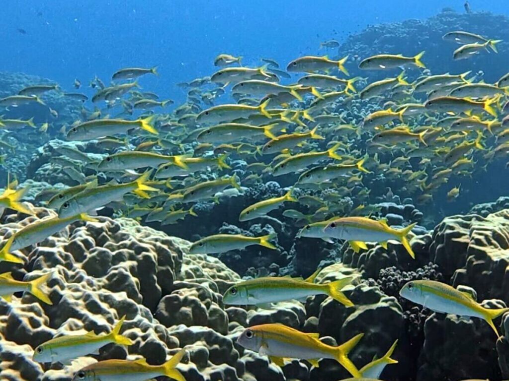Das blaue Meer glitzert im Sonnenschein