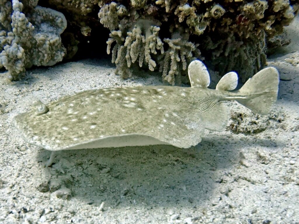 Ein bisschen Wind hält uns nicht ab