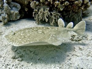 Ein bisschen Wind hält uns nicht ab