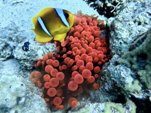 Warm-up vor dem Abenteuer