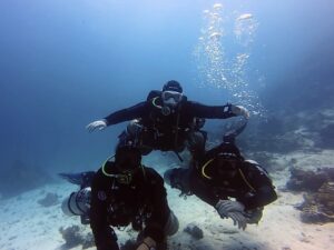 Unterwasser lernt es sich am besten