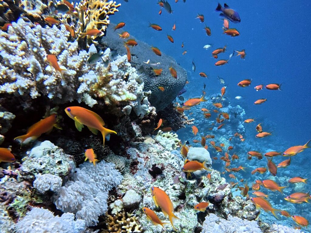 Zauberhaftes Wetter lockte uns in den Norden