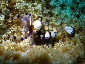 Einfach mal flach und einfach nur schön