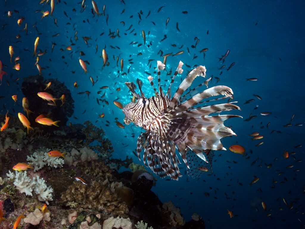 Ein besonderer Tag mit besonderem Wind