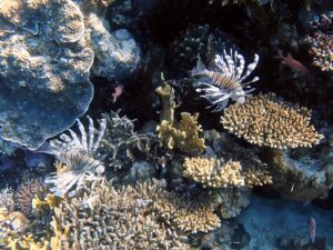 Das Abenteuer kann wie immer beginnen