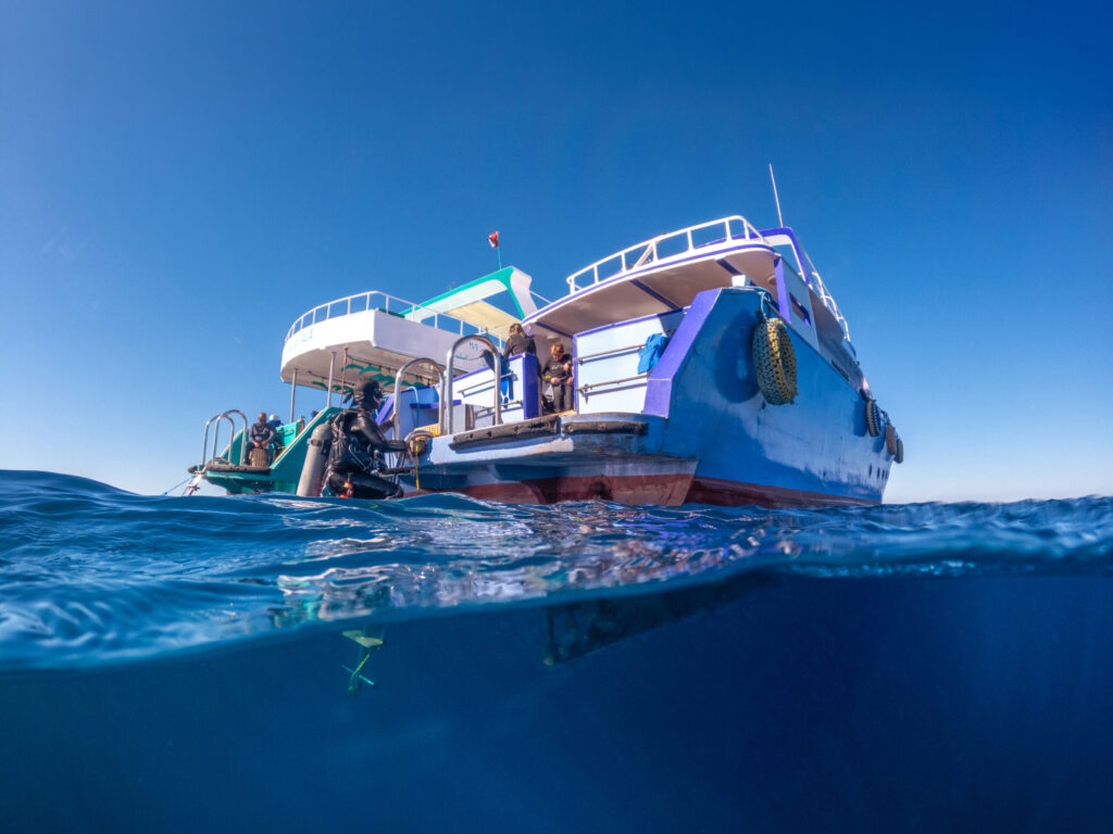 Eine sonnige Aprilwoche – unsere Rundschau