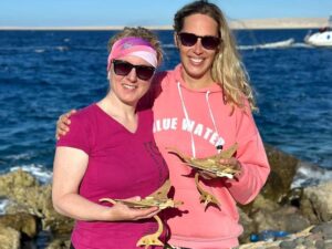 Erfahrung und Aufmerksamkeit machen’s aus