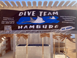 Unsere Hamburger sind wieder da