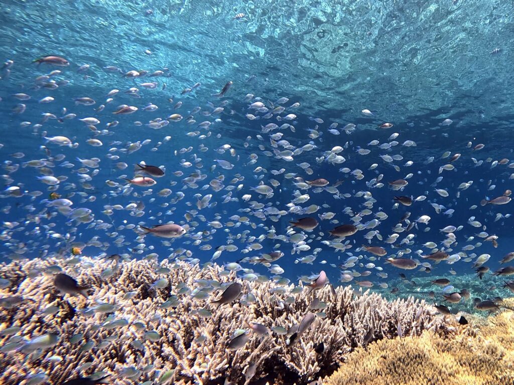 Strahlende Sonne über dem blauen Meer