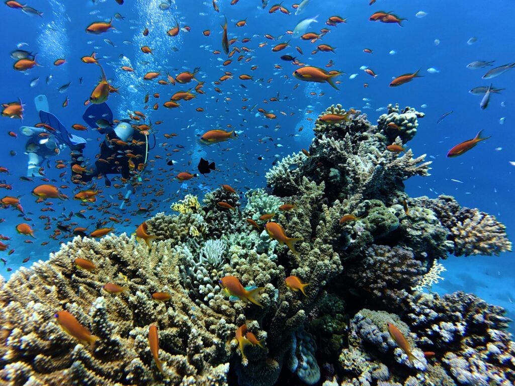 Driftend durchs Fischparadies