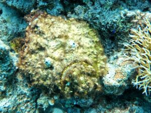 Überall Leben und versteckte Kostbarkeiten
