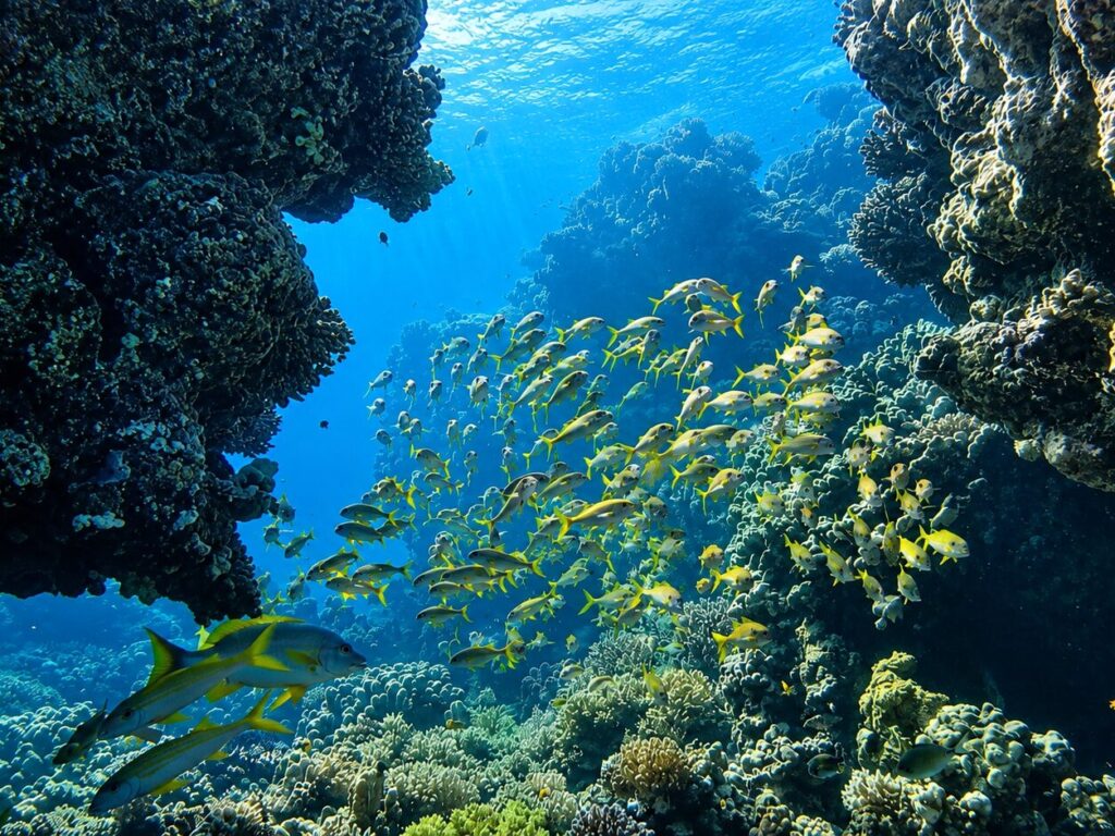 Unsere Juliwoche in der Zusammenfassung aus Hurghada