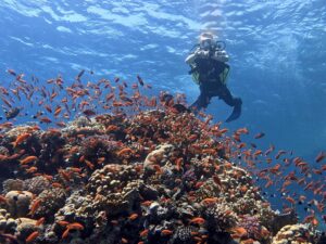 Unsere Juliwoche in der Zusammenfassung aus Hurghada
