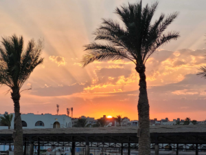 Eine schöne Septemberwoche – Neues aus Ägypten