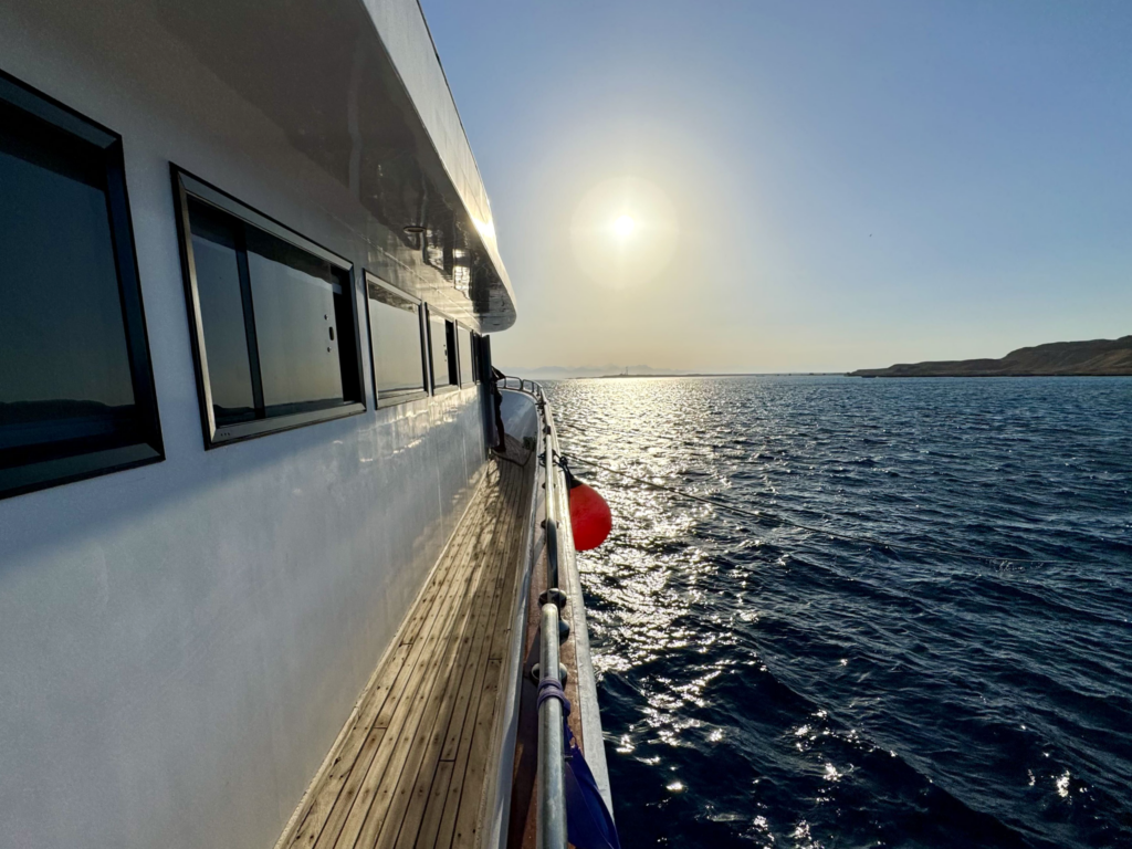 Tauchen und viel Sonne – die Woche am Roten Meer