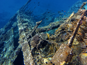 Wracks und Fische – ein ganz normaler Dienstag